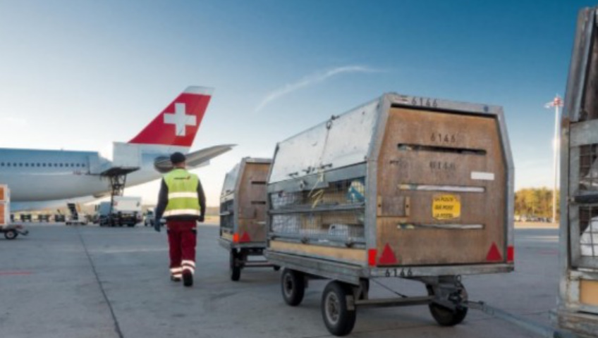 Swiss World Cargo tracking