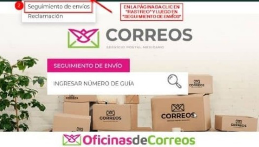 Correos de México Cargo Tracking